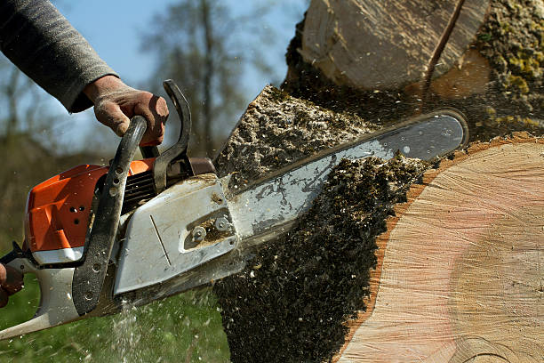 Best Lawn Pest Prevention  in Gordo, AL